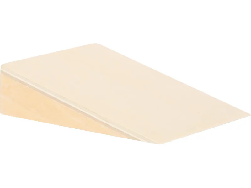Cornhole and Sling Puck Game "Active“