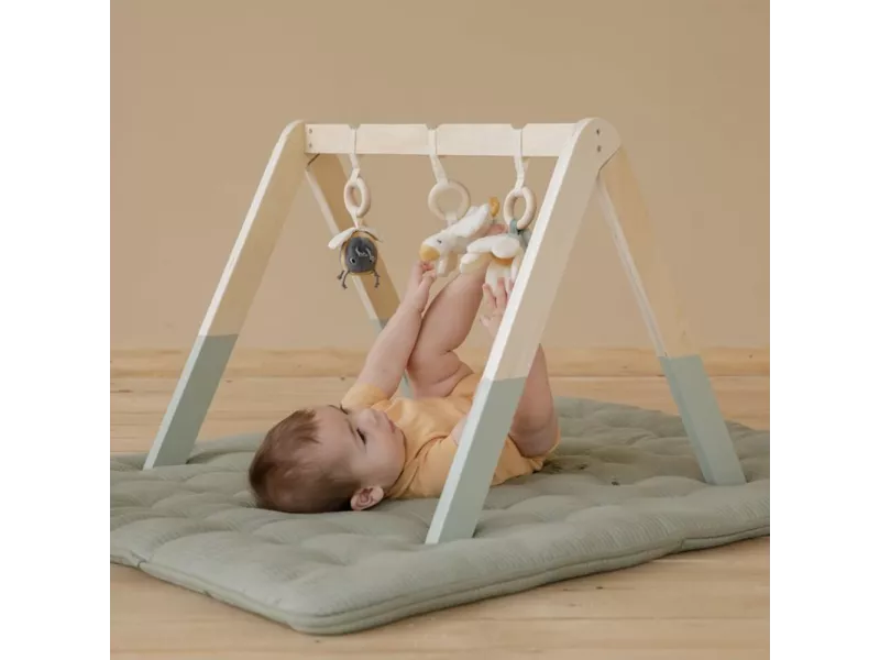 Baby gym Little Goose