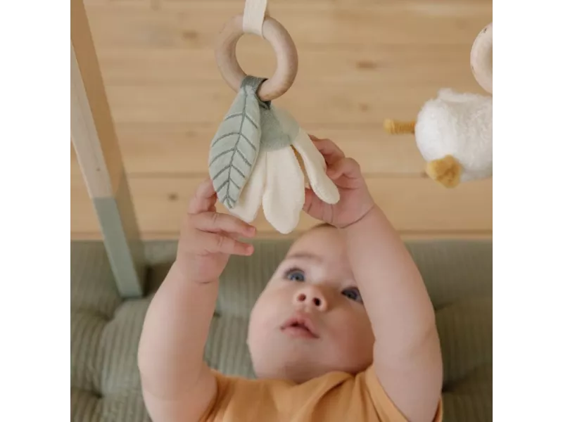 Baby gym Little Goose
