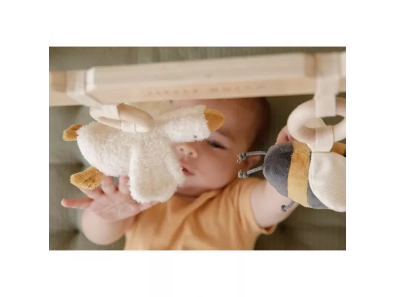 Baby gym Little Goose